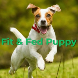 Fit Fed Puppy