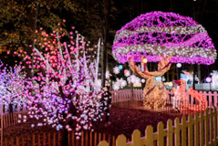 1dcd9e8014276fbde8065f4381141661