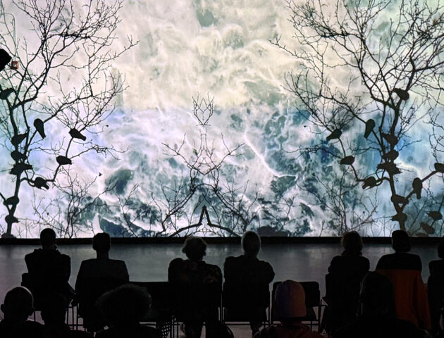 perennial-land-desktop-630×480