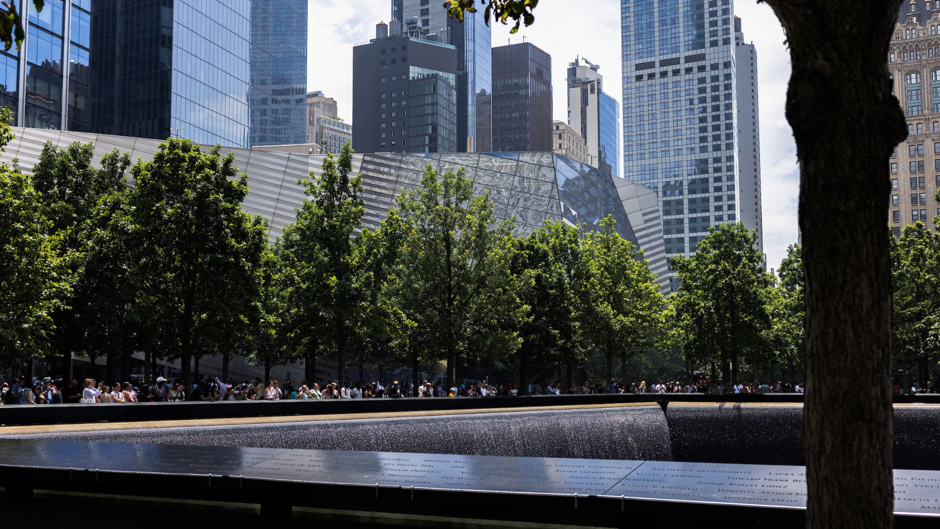 Trees in full bloom line one of the Memorial pools, with the Museum exterior and the city skyline in the background