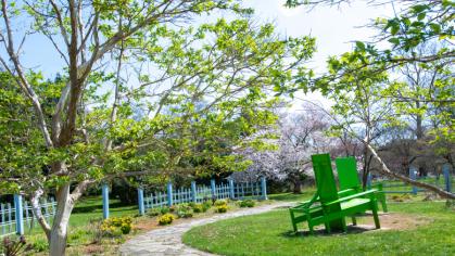 An image of the Rutgers Gardens on a sunny day