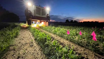 A tractor shoots a laser into weeds in a crop field in the pre-dawn