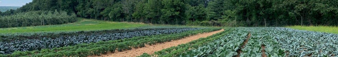 Alstede Farms, LLC’s cover photo
