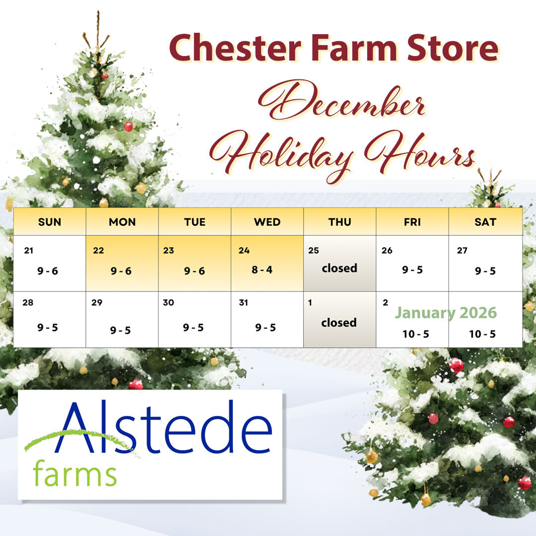 Photo by Alstede Farms on December 22, 2025. May be an image of christmas tree and text that says 'Chester Farm Store BeceTBe4 Heliday Hours SUN MON 21 TUE 22 WED 23 9-6 THU 9-6 24 28 FRI 9-6 SAT 29 8-4 25 closed 26 30 9-5 27 31 9-5 9-5 1 9-5 9-5 9-5 closed 2 January 2026 10-5 10-5 Alstede farms'.